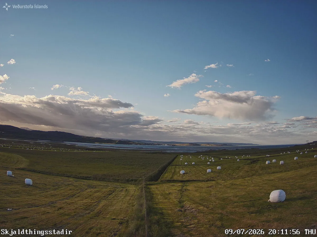 Skjaldþingsstaðir