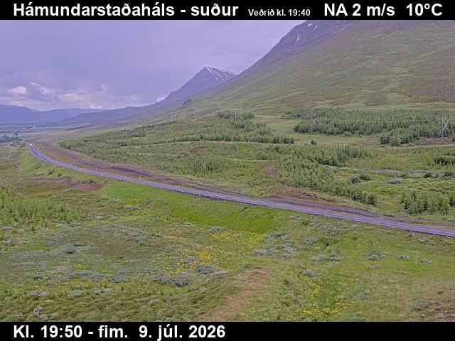 Hámundarstaðaháls (til suðurs)